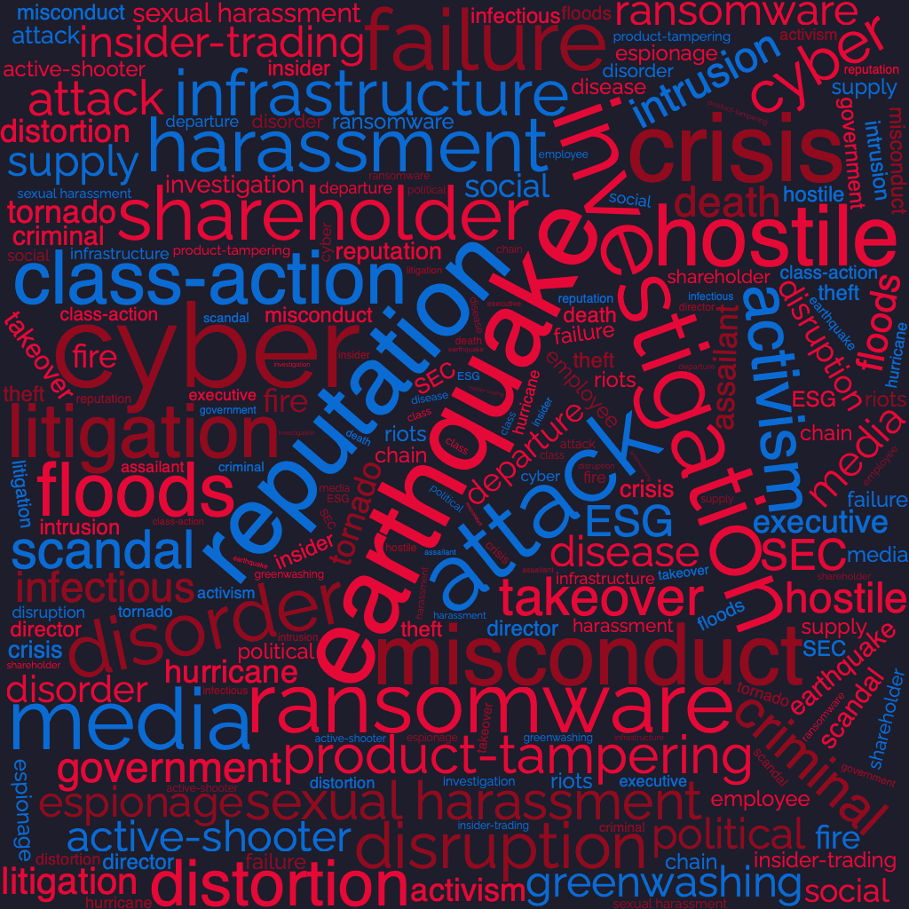 Visual Representation of Risk Management in a word cloud.